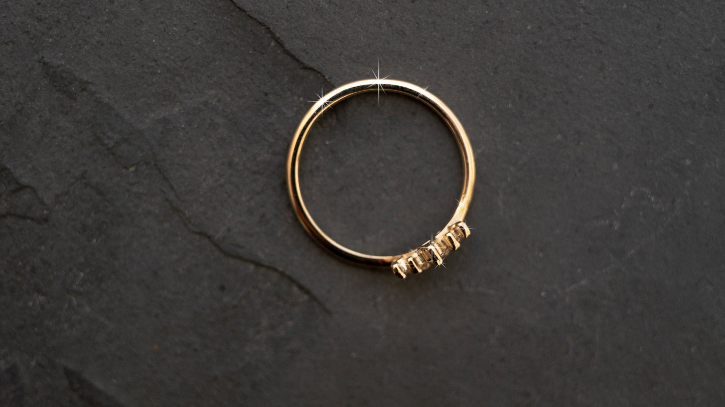Anillo ORIGEM 04